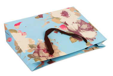 Empfindlicher Entwurfs-Gewohnheit druckte Papiertüten/verfügbares Papier-Waren-Taschen Soem/ODM fournisseur