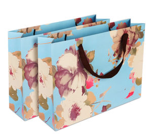 Empfindlicher Entwurfs-Gewohnheit druckte Papiertüten/verfügbares Papier-Waren-Taschen Soem/ODM fournisseur
