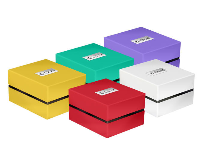 Buntes Luxusgeschenk-Verpackenkasten-Plastik-Größe 9,5 x 11 x 7.6cm für Uhr fournisseur